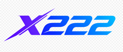 x222